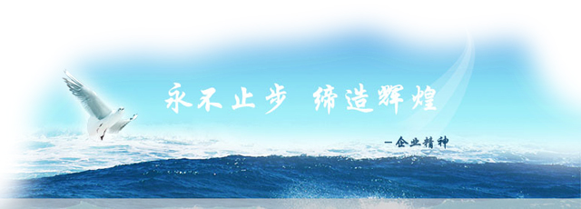 深圳市輝煌星電子有限公司网站改版成功上线！